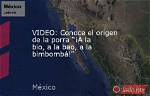 A La Bio a La Bao: an Exploration of a Cultural Phenomenon