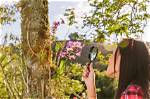Discover the Beauty of Nature with Distribuidora Flower Shop El Chapin