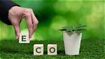 Discovering Evoolo: the Future of Eco-Friendly Transportation