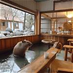 Discovering the Unique Charm of Capy B Cafe Vancouver