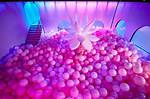 Dive into the Quirky Bubble House of Patrick Star: an Underwater Adventure