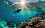 Dive into the World of Photography with Sunao Adelstein, Master Lensman