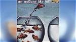 Embracing Individuality: I'm Nothing Like Yall