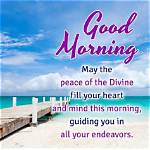 Embracing Sunday Blessings: Good Morning Divine Inspirations and Prayers