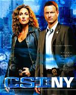 Exploring the Cast of Csi: Ny - a Comprehensive Guide