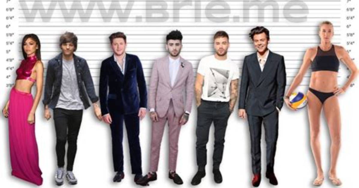 Harry Styles Height in Cm: Get the Answer Here