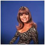 Nina Wayne |