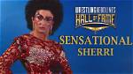 Sensational Sherri Son: the Rising Star of Entertainment