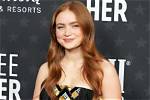 Unveiling the Family Ties: Does Sadie Sink Have a Sister?