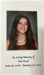 Unveiling the Journey of Molly Noblit: a Bbc News Perspective