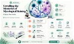 Unveiling the Mysteries of Jinricp: a Comprehensive Guide