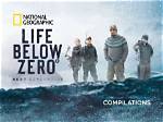 Unveiling the Secrets of "Life Below Zero: Cole"