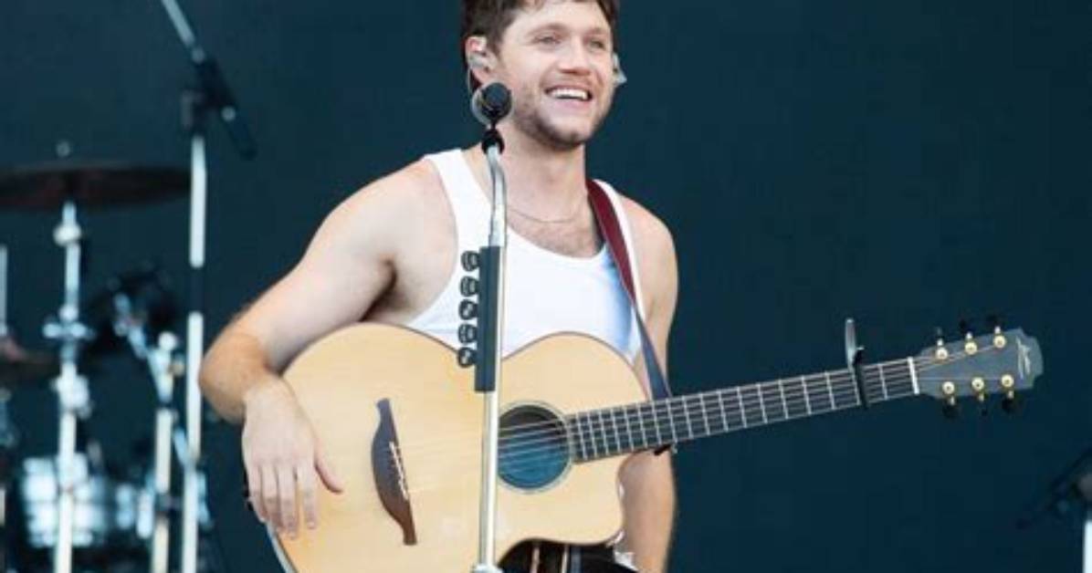 Where in Ireland Does Niall Horan Hail from?